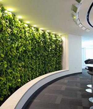 Vertical Garden / Greenwall